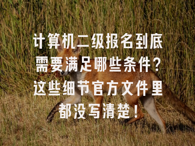 计算机二级报名到底需要满足哪些条件？这些细节官方文件里都没写清楚！