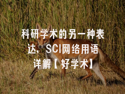 科研学术的另一种表达，SCI网络用语详解【好学术】