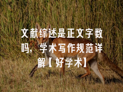 文献综述是正文字数吗，学术写作规范详解【好学术】