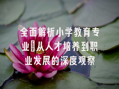 全面解析小学教育专业：从人才培养到职业发展的深度观察
