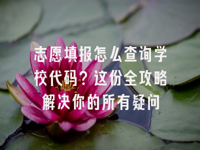 志愿填报怎么查询学校代码？这份全攻略解决你的所有疑问