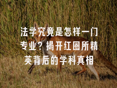 法学究竟是怎样一门专业？揭开红圈所精英背后的学科真相