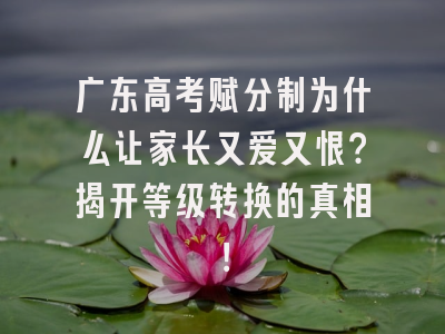 广东高考赋分制为什么让家长又爱又恨？揭开等级转换的真相！