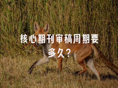 核心期刊审稿周期要多久？
