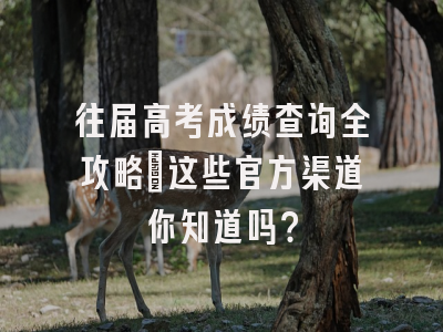 往届高考成绩查询全攻略：这些官方渠道你知道吗？