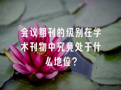 会议期刊的级别在学术刊物中究竟处于什么地位？