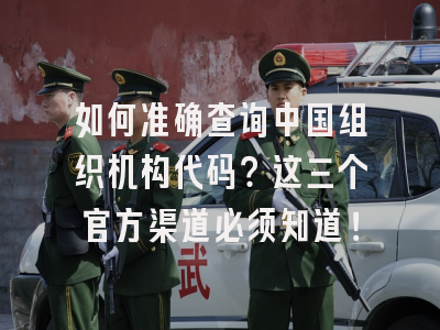 如何准确查询中国组织机构代码？这三个官方渠道必须知道！