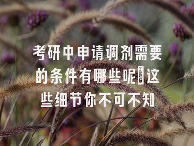 考研中申请调剂需要的条件有哪些呢?这些细节你不可不知