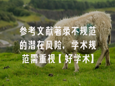 参考文献著录不规范的潜在风险，学术规范需重视【好学术】