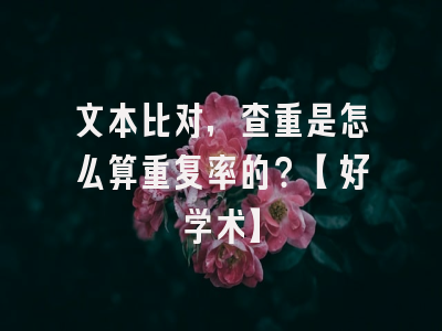 文本比对，查重是怎么算重复率的？【好学术】