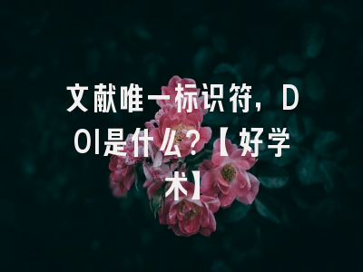 文献唯一标识符，DOI是什么？【好学术】