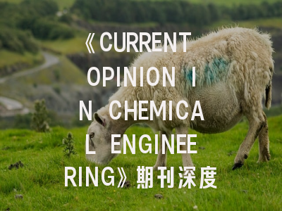 《CURRENT OPINION IN CHEMICAL ENGINEERING》期刊深度解析与高效投稿指南