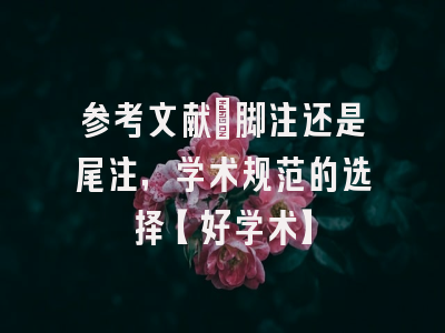 参考文献：脚注还是尾注，学术规范的选择【好学术】