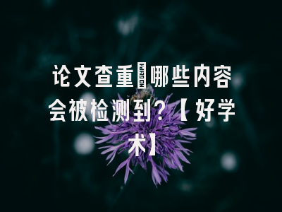 论文查重：哪些内容会被检测到？【好学术】