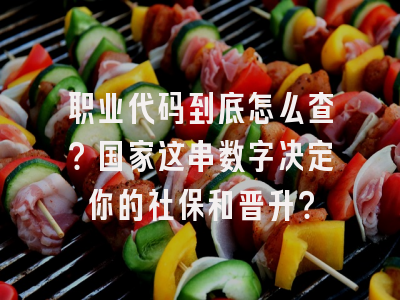 职业代码到底怎么查？国家这串数字决定你的社保和晋升？