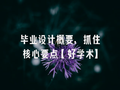 毕业设计概要，抓住核心要点【好学术】