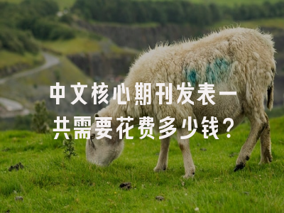 中文核心期刊发表一共需要花费多少钱？