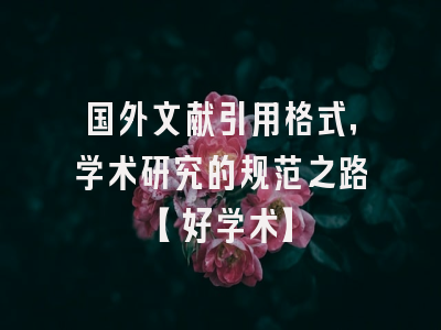 国外文献引用格式，学术研究的规范之路【好学术】