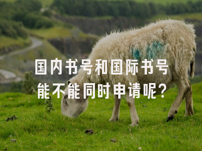 国内书号和国际书号能不能同时申请呢？