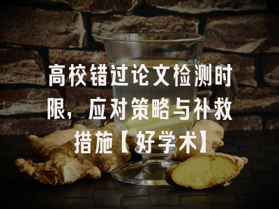高校错过论文检测时限，应对策略与补救措施【好学术】