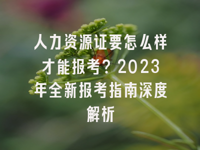 人力资源证要怎么样才能报考？2023年全新报考指南深度解析