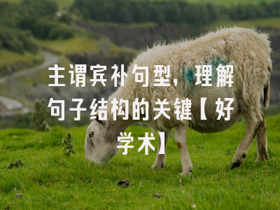 主谓宾补句型，理解句子结构的关键【好学术】