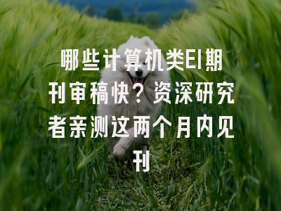哪些计算机类EI期刊审稿快？资深研究者亲测这两个月内见刊