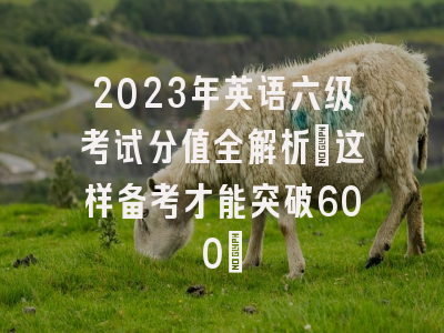 2023年英语六级考试分值全解析：这样备考才能突破600+