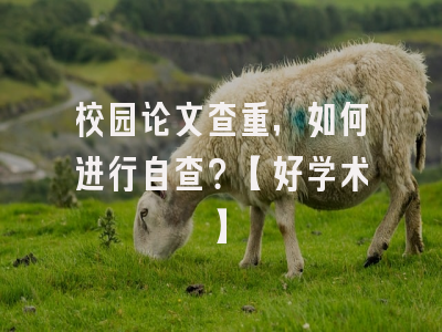 校园论文查重，如何进行自查？【好学术】