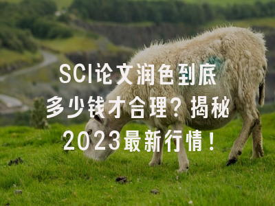 SCI论文润色到底多少钱才合理？揭秘2023最新行情！