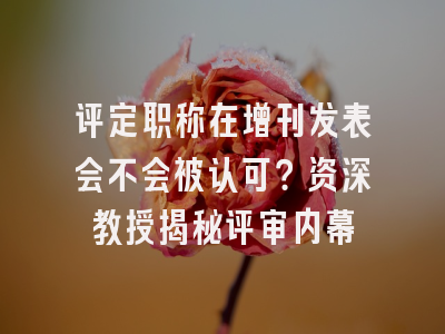 评定职称在增刊发表会不会被认可？资深教授揭秘评审内幕