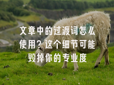 文章中的过渡词怎么使用？这个细节可能毁掉你的专业度