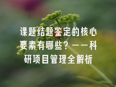课题结题鉴定的核心要素有哪些？——科研项目管理全解析