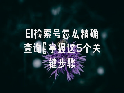 EI检索号怎么精确查询?掌握这5个关键步骤