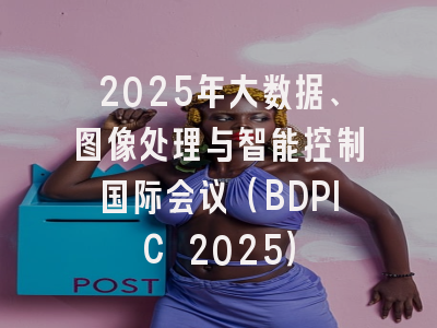 2025年大数据、图像处理与智能控制国际会议（BDPIC 2025）