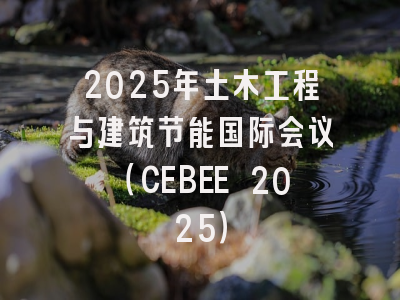 2025年土木工程与建筑节能国际会议（CEBEE 2025）