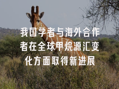 我国学者与海外合作者在全球甲烷源汇变化方面取得新进展