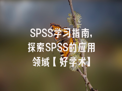 SPSS学习指南，探索SPSS的应用领域【好学术】