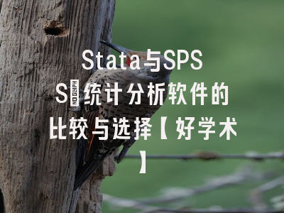 Stata与SPSS：统计分析软件的比较与选择【好学术】