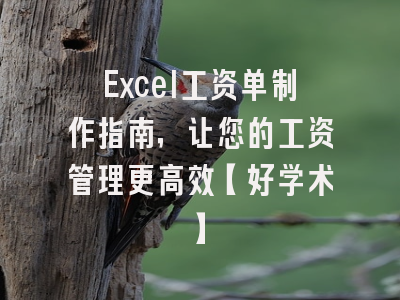 Excel工资单制作指南，让您的工资管理更高效【好学术】