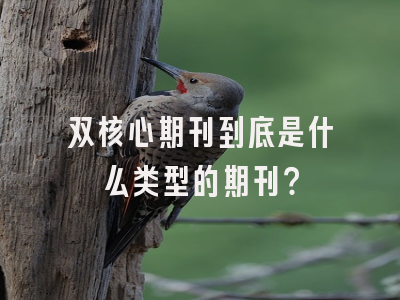 双核心期刊到底是什么类型的期刊？