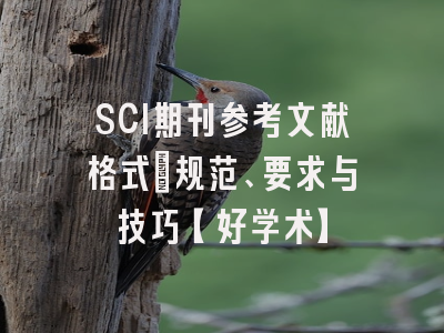 SCI期刊参考文献格式：规范、要求与技巧【好学术】
