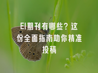 EI期刊有哪些？这份全面指南助你精准投稿