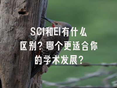 SCI和EI有什么区别？哪个更适合你的学术发展？