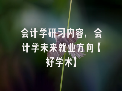 会计学研习内容，会计学未来就业方向【好学术】