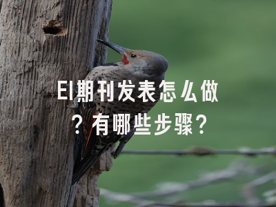 EI期刊发表怎么做？有哪些步骤？