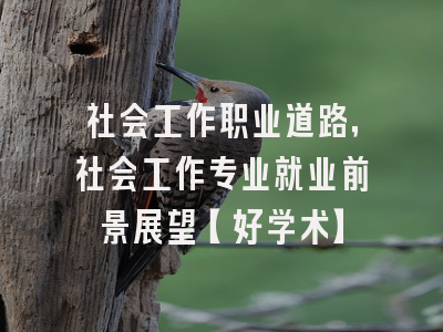 社会工作职业道路，社会工作专业就业前景展望【好学术】