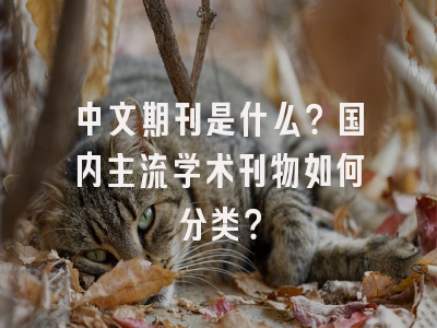 中文期刊是什么？国内主流学术刊物如何分类？