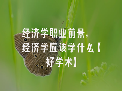 经济学职业前景, 经济学应该学什么【好学术】