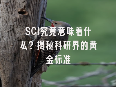 SCI究竟意味着什么？揭秘科研界的黄金标准